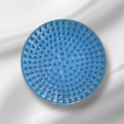 Detangler Brush